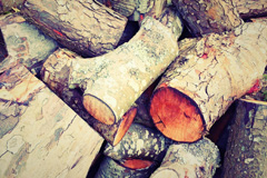 Tremain wood burning boiler costs